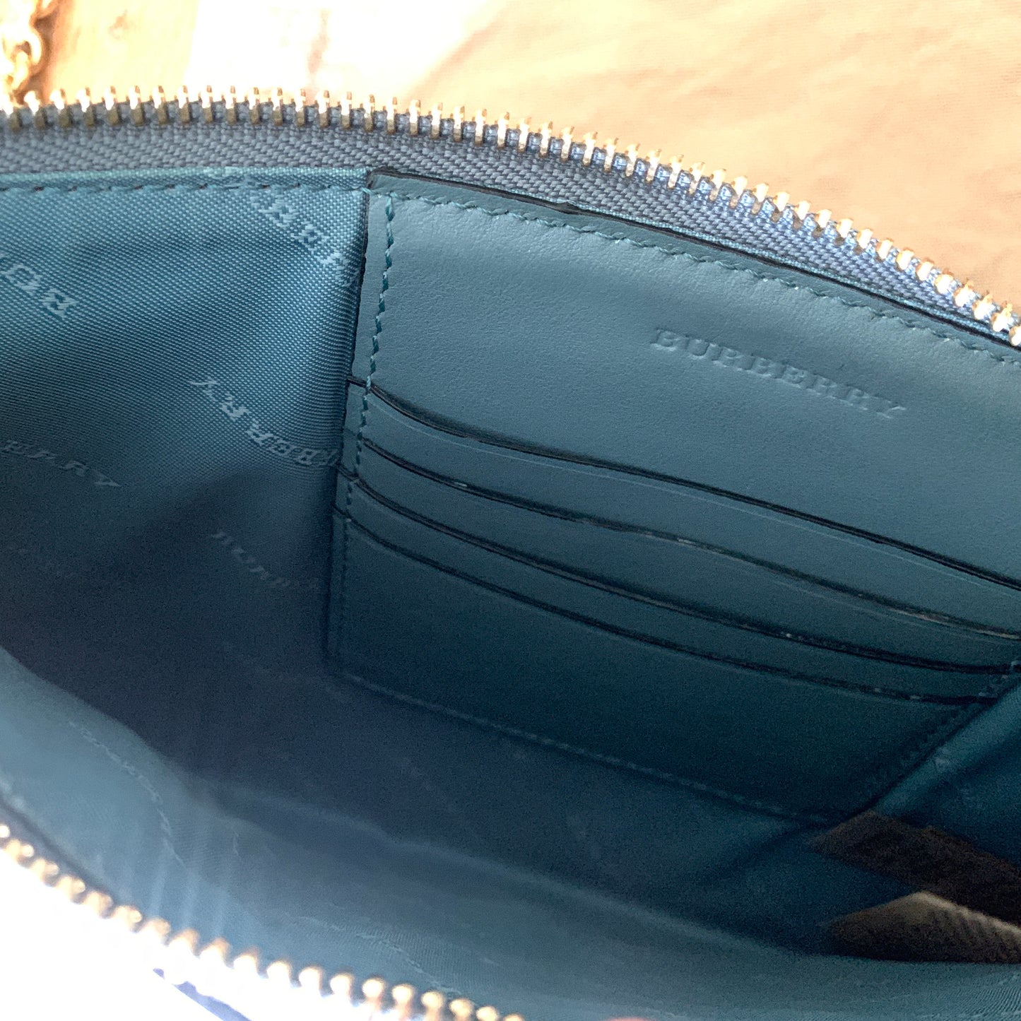 Burberry Sling Bag with Python Trim