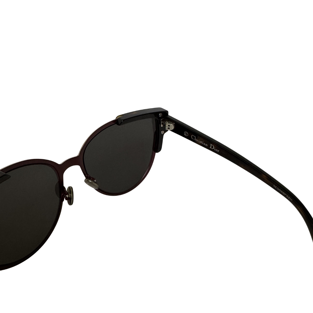 Christian Dior WildlyDior Sunglasses