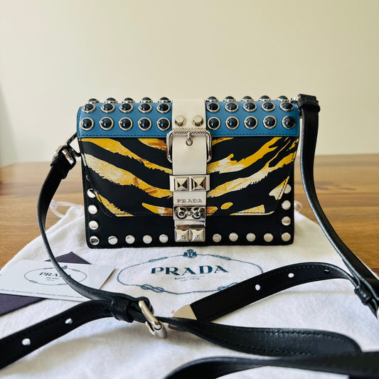 Prada Elektra Leather Crossbody Bag