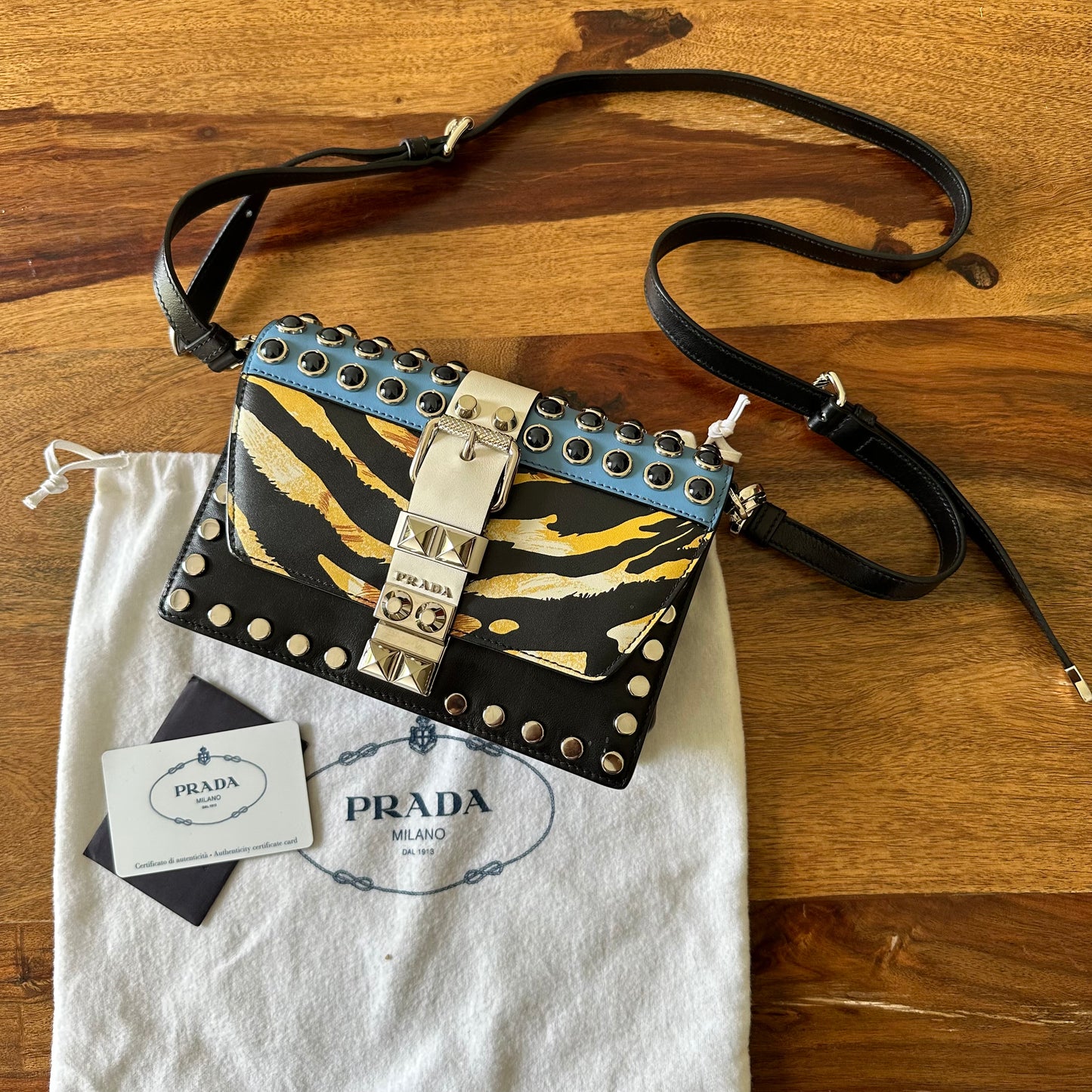 Prada Elektra Leather Crossbody Bag
