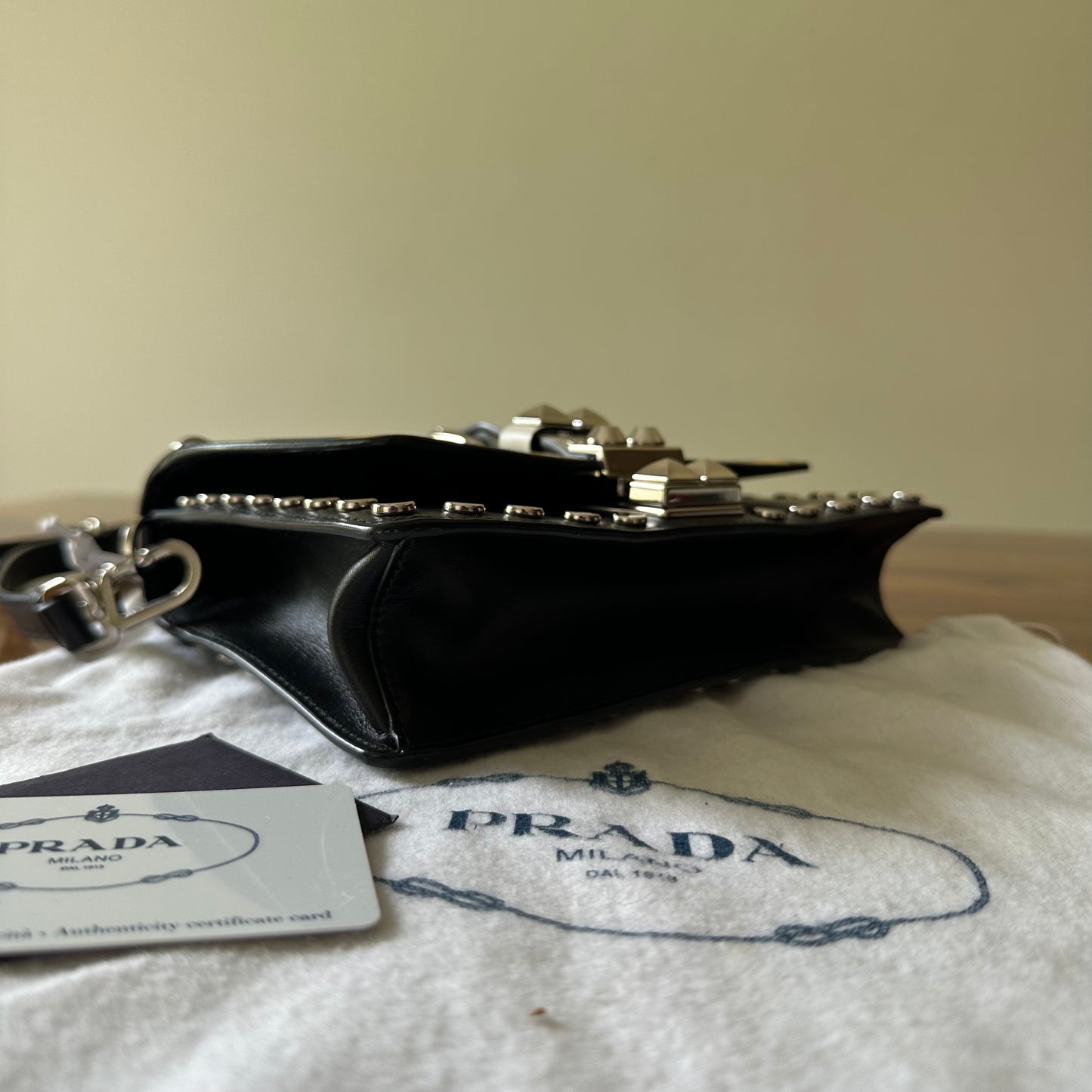 Prada Elektra Leather Crossbody Bag