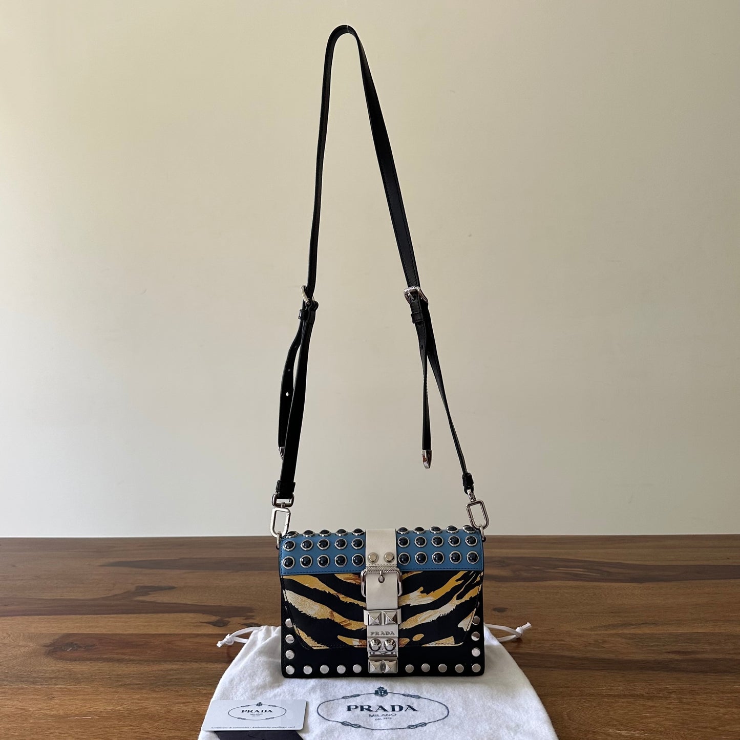 Prada Elektra Leather Crossbody Bag