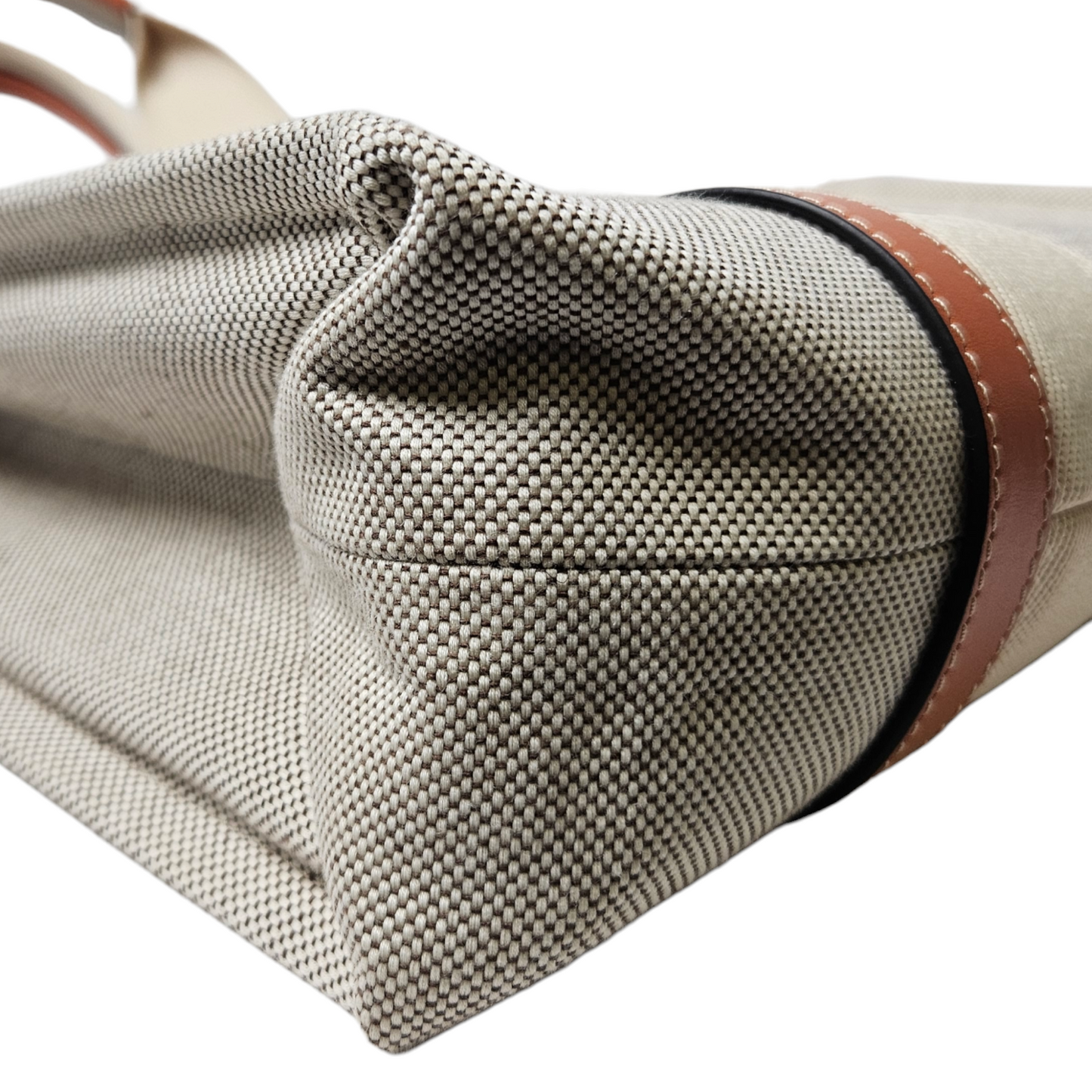 Chloe Canvas Medium Woody Tote