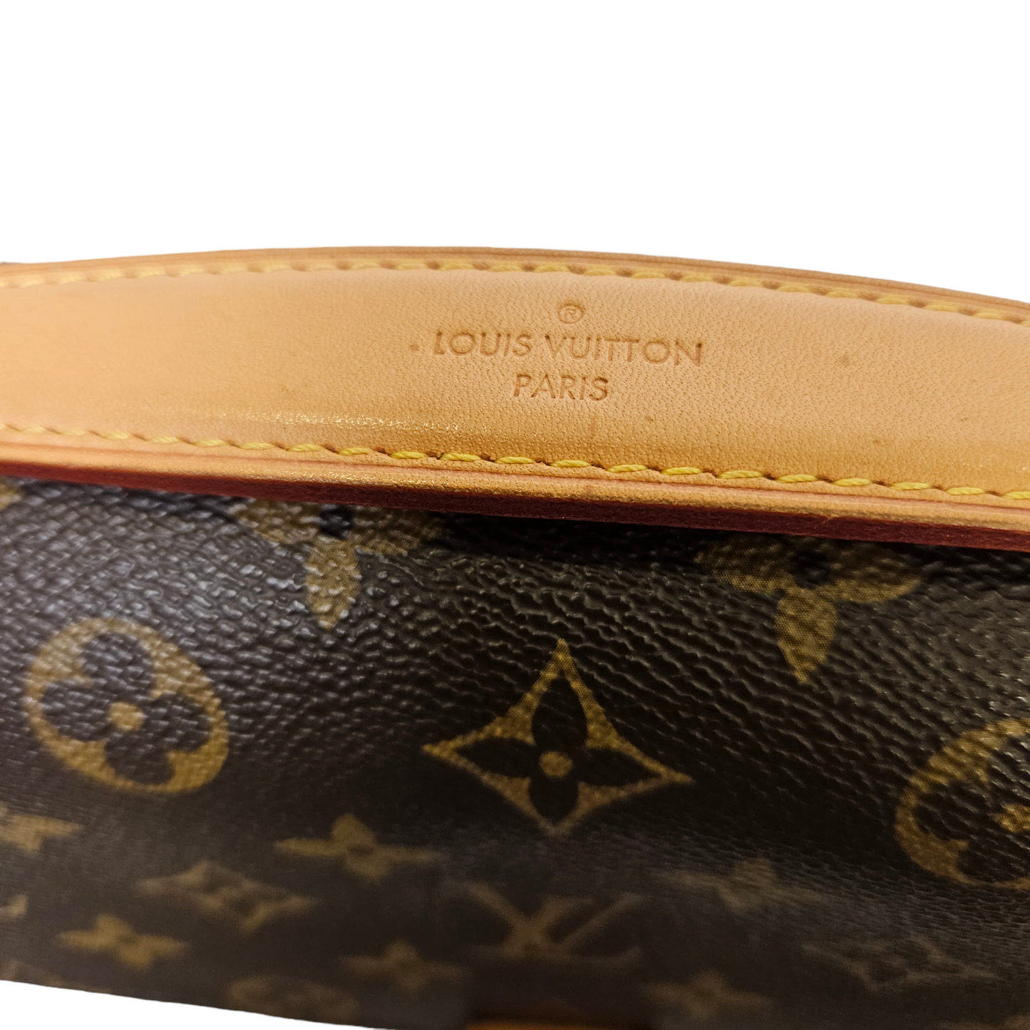 Louis Vuitton Monogram Pochette Metis