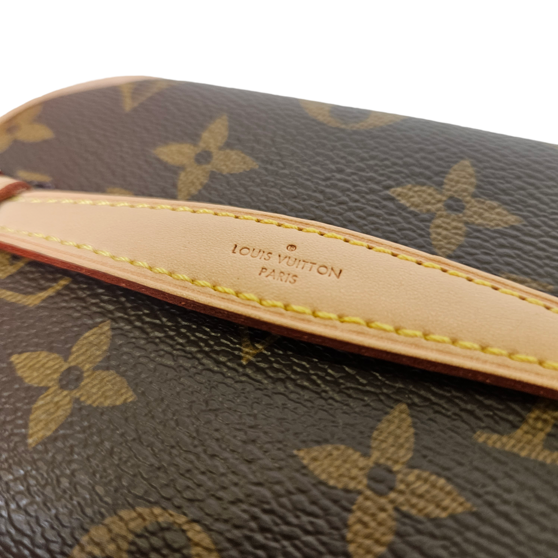 Louis Vuitton Monogram Nice Nano Toiletry Pouch – Luxe Marché India